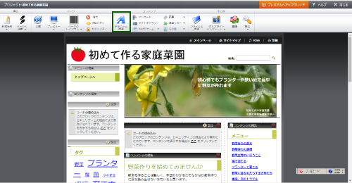 webnode̕ҏWʂ̃eLXgƉ摜
